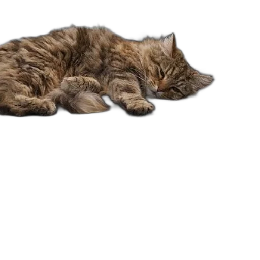 animal, staff, creature, furniture, photorealistic, 3d render, concept art, pixel art transparent PNG cut-out