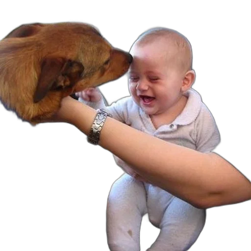 animal, creature, weapon, face, photorealistic, oil painting, baby, onesie transparent PNG cut-out