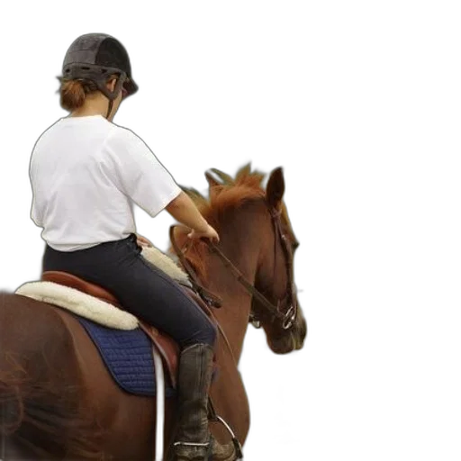 animal, staff, hat, photorealistic, person, white, shirt, riding transparent PNG cut-out
