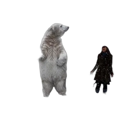 animal, creature, jacket, concept art, 3d render, snow, outer space, polar transparent PNG cut-out
