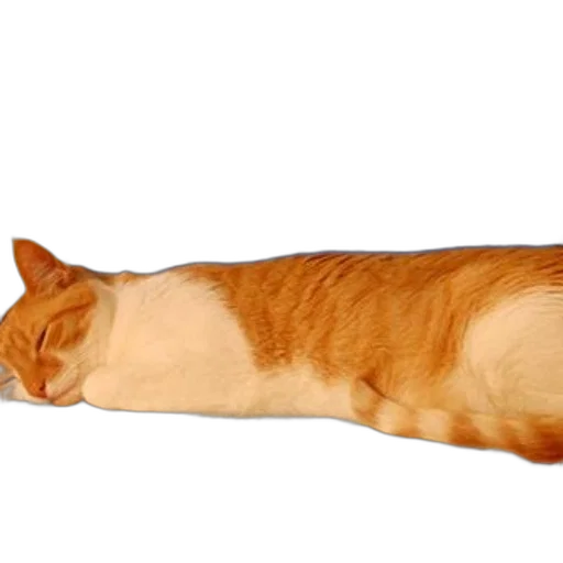 animal, staff, food, creature, photorealistic, 3d render, concept art, pixel art transparent PNG cut-out