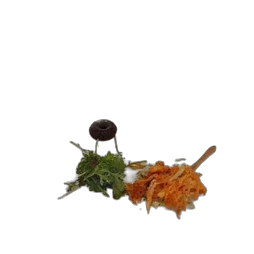 food, crown, staff, flower, photorealistic, 3d render, outer space, white transparent PNG cut-out