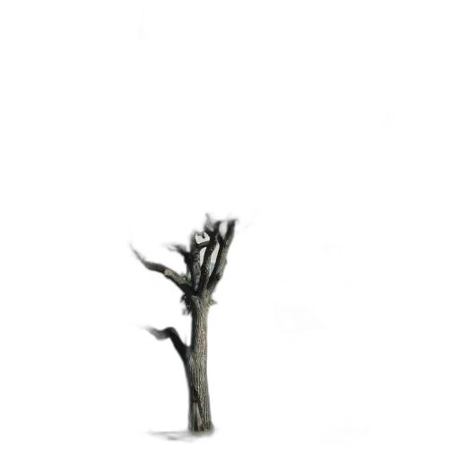 tree, furniture, staff, crown transparent PNG cut-out