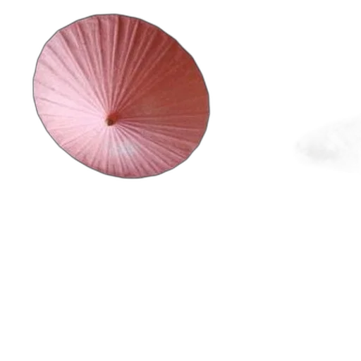 umbrella, hat, flower, hair, 3d render, concept art, photorealistic, vaporwave transparent PNG cut-out
