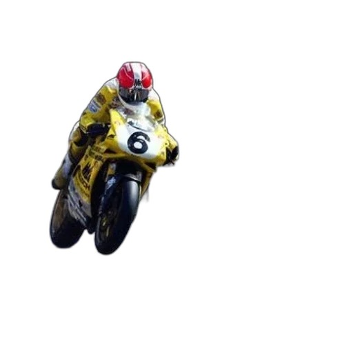 animal, photorealistic, pixel art, 3d render, concept art, motorcycle, racer, yellow transparent PNG cut-out