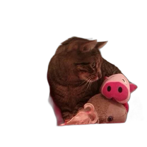 animal, hat, food, mask transparent PNG cut-out