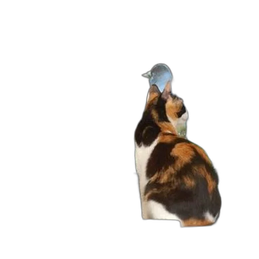animal, hat, food, creature, 3d render, photorealistic, concept art, vaporwave transparent PNG cut-out