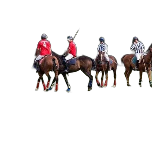 staff, weapon, sword, crown transparent PNG cut-out