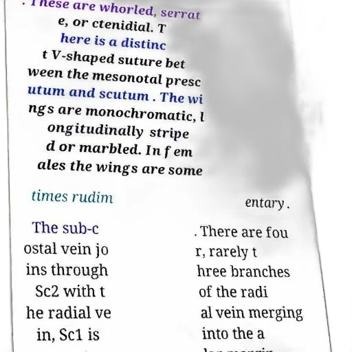 umbrella, sword, page, scientific, text, discussing, characteristics, specific transparent PNG cut-out