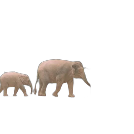 animal, creature, 3d render, concept art, pixel art, photorealistic, forest, fog transparent PNG cut-out
