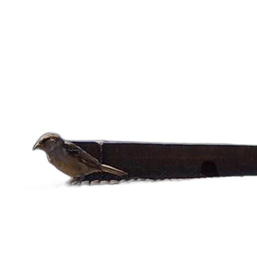 staff, sword, weapon, animal, photorealistic, 3d render, concept art, snow transparent PNG cut-out