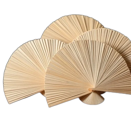 umbrella, hat, hair, crown transparent PNG cut-out
