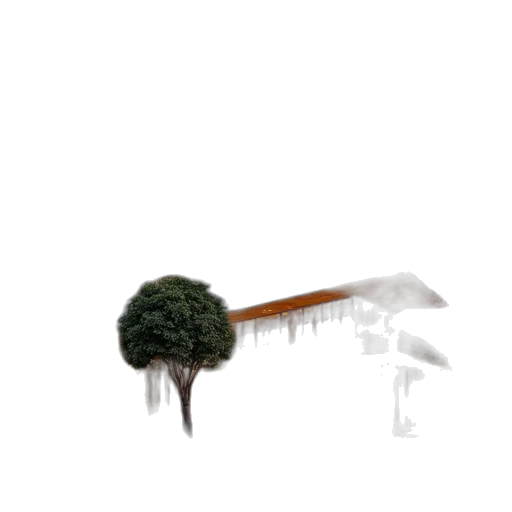tree, furniture, umbrella, hair transparent PNG cut-out
