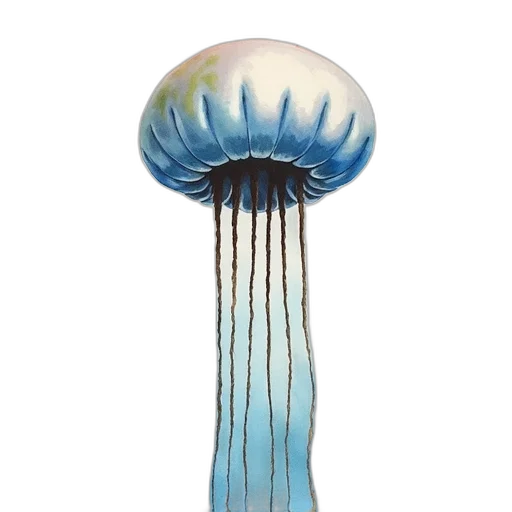 umbrella, hair, hat, crown, 3d render, concept art, photorealistic, watercolor transparent PNG cut-out