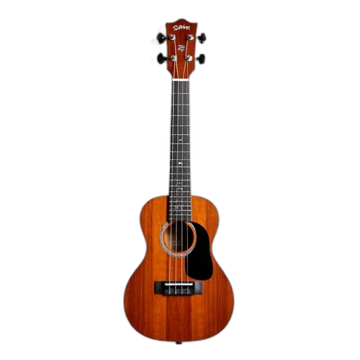 wooden, ukulele, glossy, finish, black, tuning, pegs, displayed transparent PNG cut-out