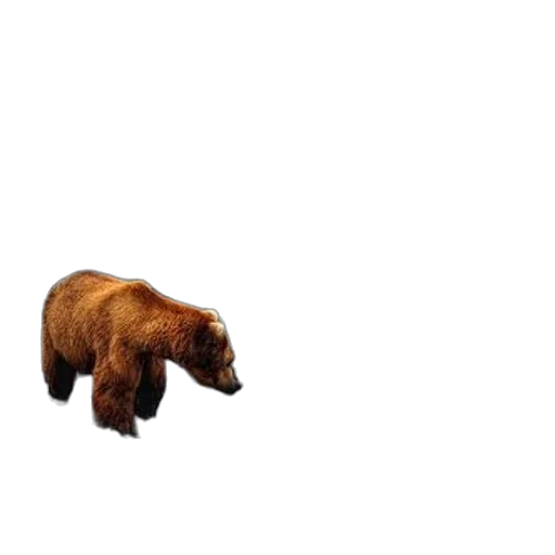 animal, creature, staff, furniture, pixel art, concept art, 3d render, photorealistic transparent PNG cut-out
