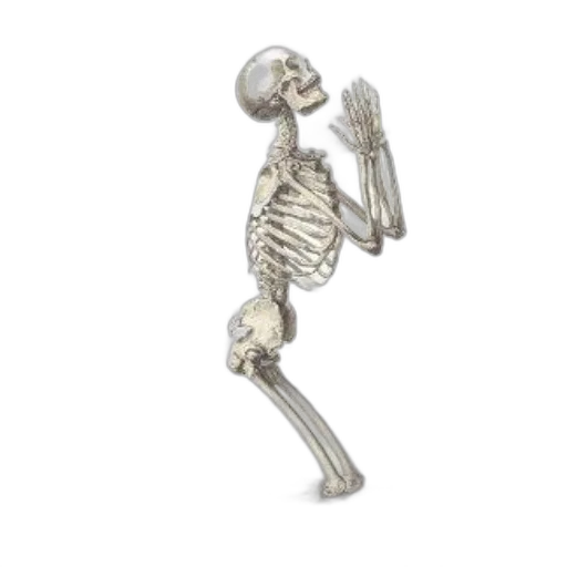 jewelry, staff, robot, food, image, features, skeleton, kneeling transparent PNG cut-out