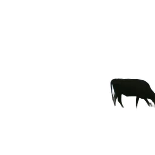 animal, creature, food, furniture, concept art, pixel art, 3d render, photorealistic transparent PNG cut-out