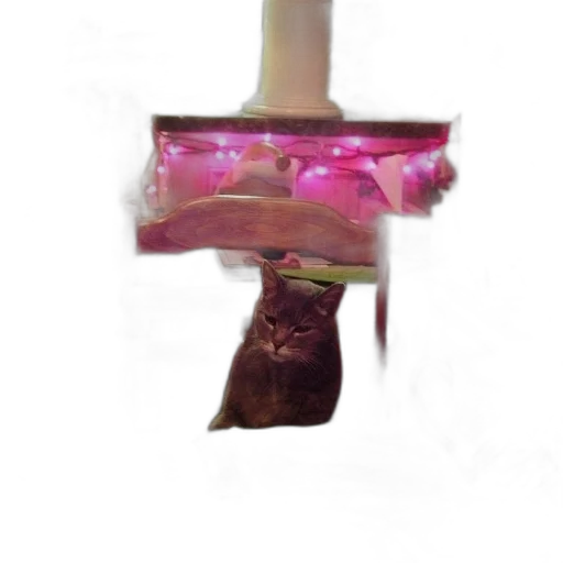 flower, bottle, crown, umbrella, vaporwave, 3d render, photorealistic, oil painting transparent PNG cut-out