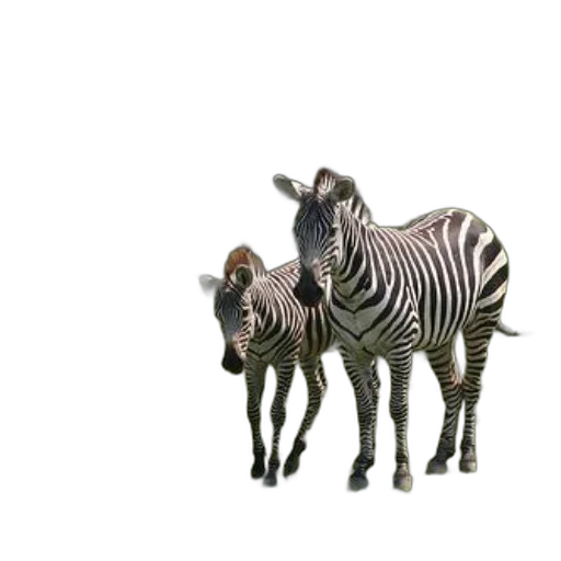 animal, creature, jewelry, furniture, 3d render, concept art, photorealistic, pixel art transparent PNG cut-out