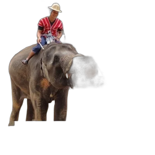 animal, hat, creature, photorealistic, concept art, 3d render, person, rides transparent PNG cut-out