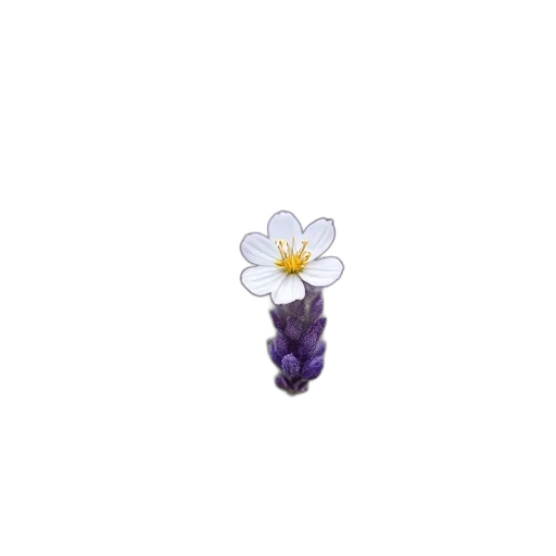 flower, staff, weapon, crown, pixel art, concept art, 3d render, pastel transparent PNG cut-out