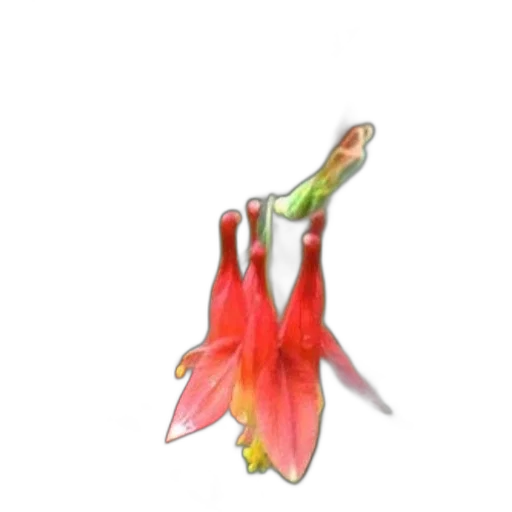 flower, crown, staff, jewelry, 3d render, photorealistic, watercolor, concept art transparent PNG cut-out