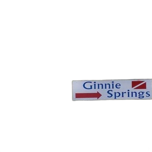 staff, 3d render, pixel art, sign, ginnie, springs, visible, among transparent PNG cut-out