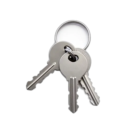 set, silver, metal, keys, keychain, attached, largest, key transparent PNG cut-out