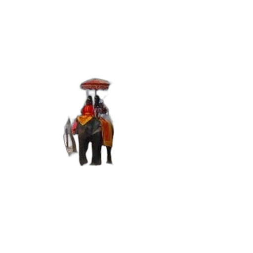 animal, hat, staff, creature transparent PNG cut-out