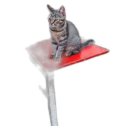 staff, umbrella, furniture, animal, photorealistic, 3d render, concept art, tabby transparent PNG cut-out