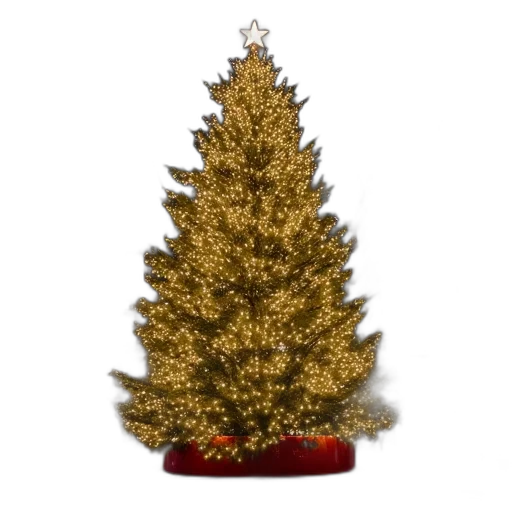 crown, tree, jewelry, hat, 3d render, christmas, rockefeller, square transparent PNG cut-out