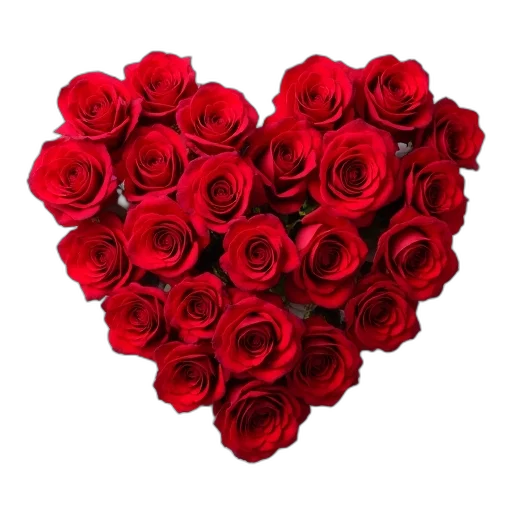 flower, red, heart, shape transparent PNG cut-out