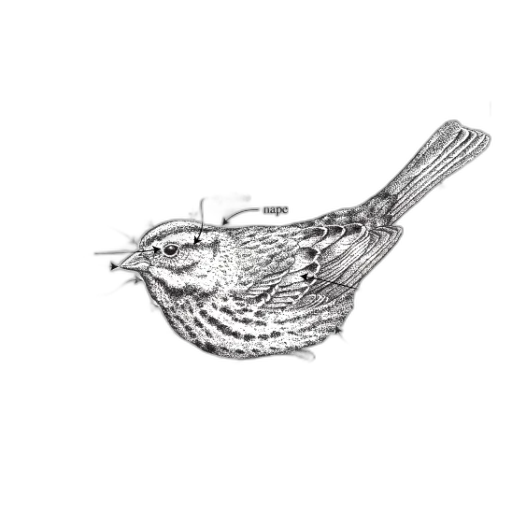 jewelry, crown, food, weapon, pencil sketch, 3d render, photorealistic, detailed transparent PNG cut-out