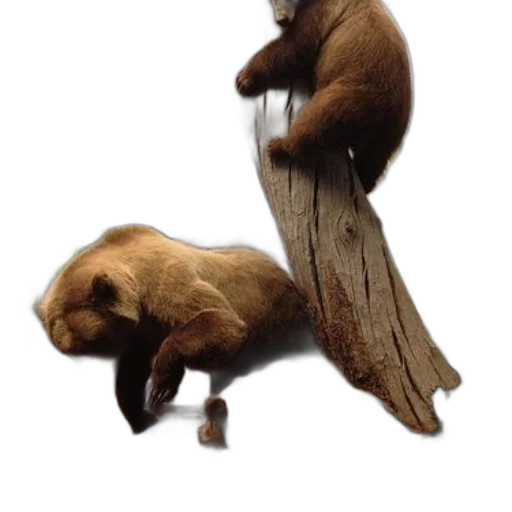 animal, creature, staff, concept art, 3d render, photorealistic, fantasy art, forest transparent PNG cut-out