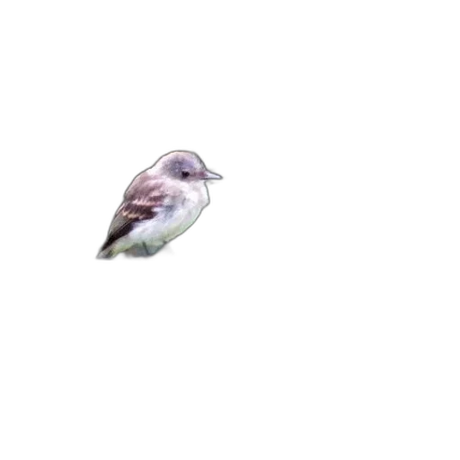 animal, face, creature, dragon, photorealistic, vaporwave, 3d render, pixel art transparent PNG cut-out