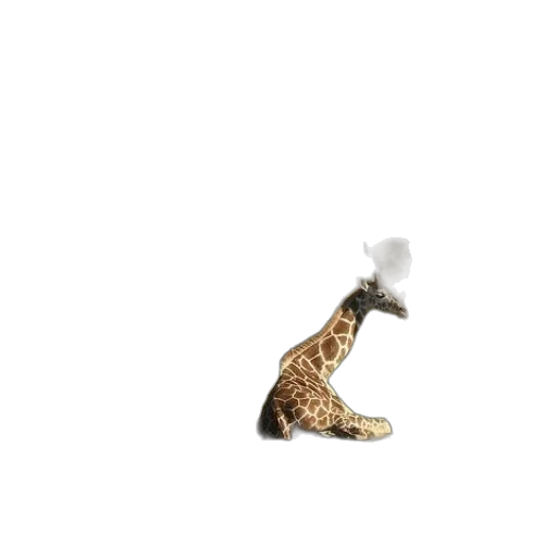 animal, jewelry, shoes, creature, 3d render, concept art, photorealistic, pixel art transparent PNG cut-out