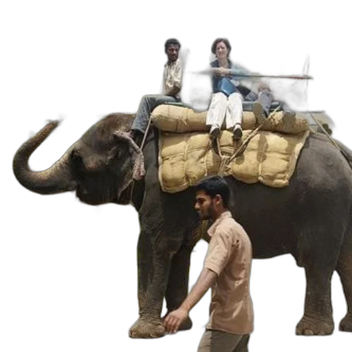 animal, staff, concept art, forest, earth tones, group, people, ride transparent PNG cut-out