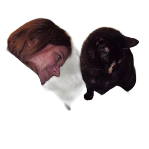 animal, face, creature, staff transparent PNG cut-out