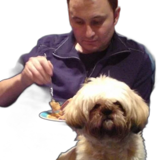 staff, animal, food, creature, photorealistic, oil painting, man, blue transparent PNG cut-out