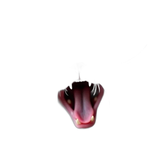 mask, creature, animal, shoes, 3d render, photorealistic, concept art, pixel art transparent PNG cut-out