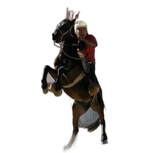 staff, animal, photorealistic, concept art, 3d render, pixel art, man, riding transparent PNG cut-out