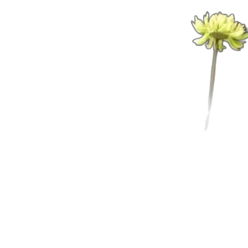 flower, staff, weapon, crown, pixel art, concept art, photorealistic, 3d render transparent PNG cut-out