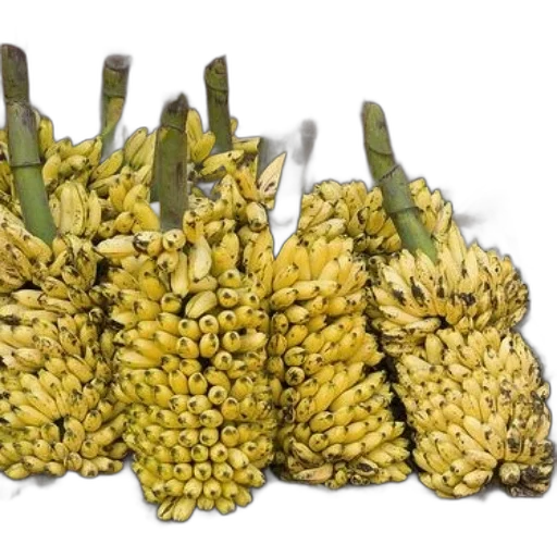 crown, food, hair, weapon, bunches, ripe, yellow, bananas transparent PNG cut-out