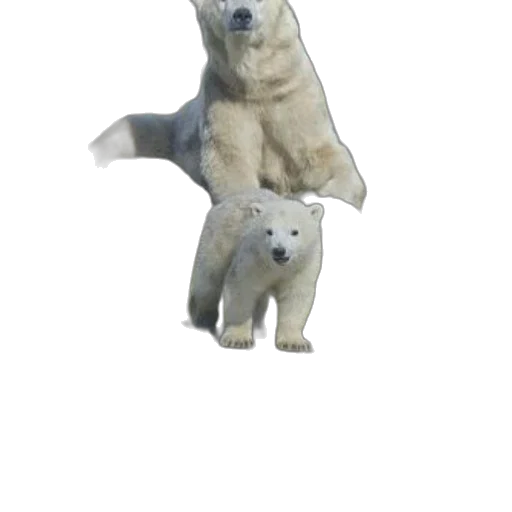 animal, creature, staff, weapon, 3d render, concept art, photorealistic, pixel art transparent PNG cut-out