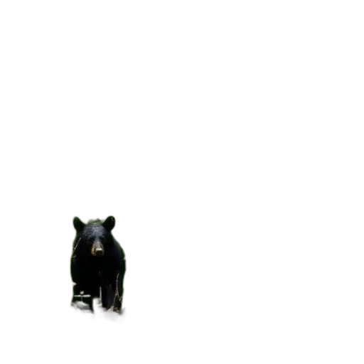 animal, creature, staff, robot transparent PNG cut-out