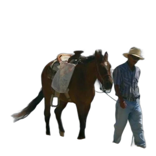 hat, staff, animal, weapon, concept art, 3d render, photorealistic, oil painting transparent PNG cut-out