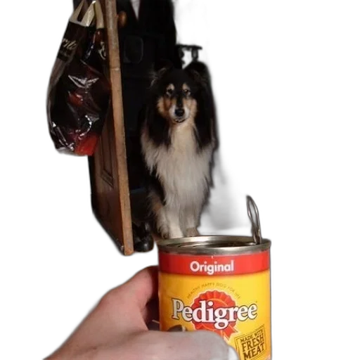 animal, food, bottle, creature transparent PNG cut-out