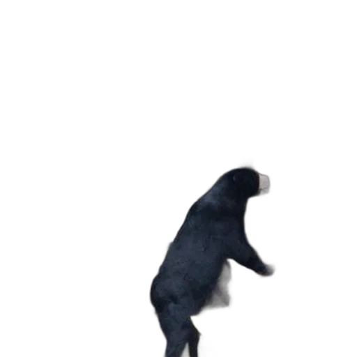 animal, creature, staff, shoes, 3d render, concept art, photorealistic, black transparent PNG cut-out