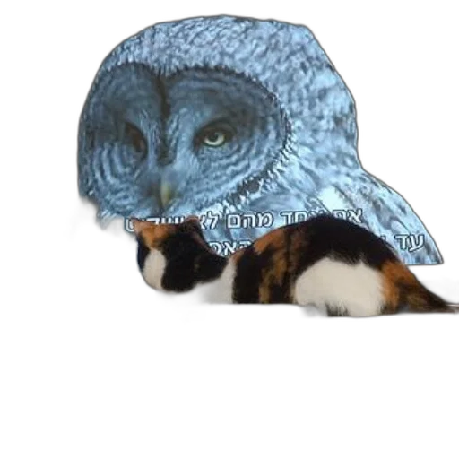 hat, animal, mask, creature, photorealistic, vaporwave, 3d render, watercolor transparent PNG cut-out